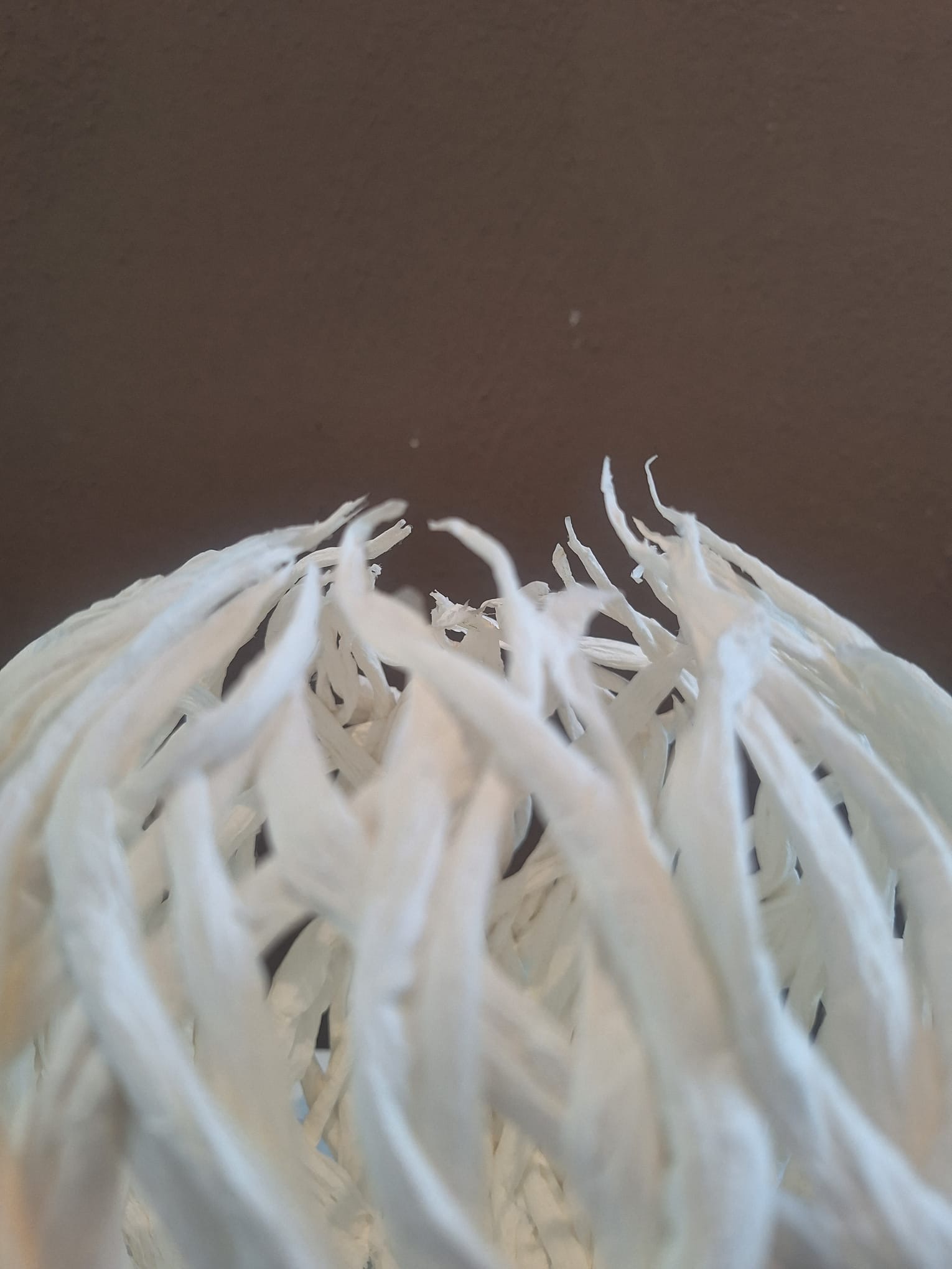 017aedaa-8c69-4053-9940-852251684369