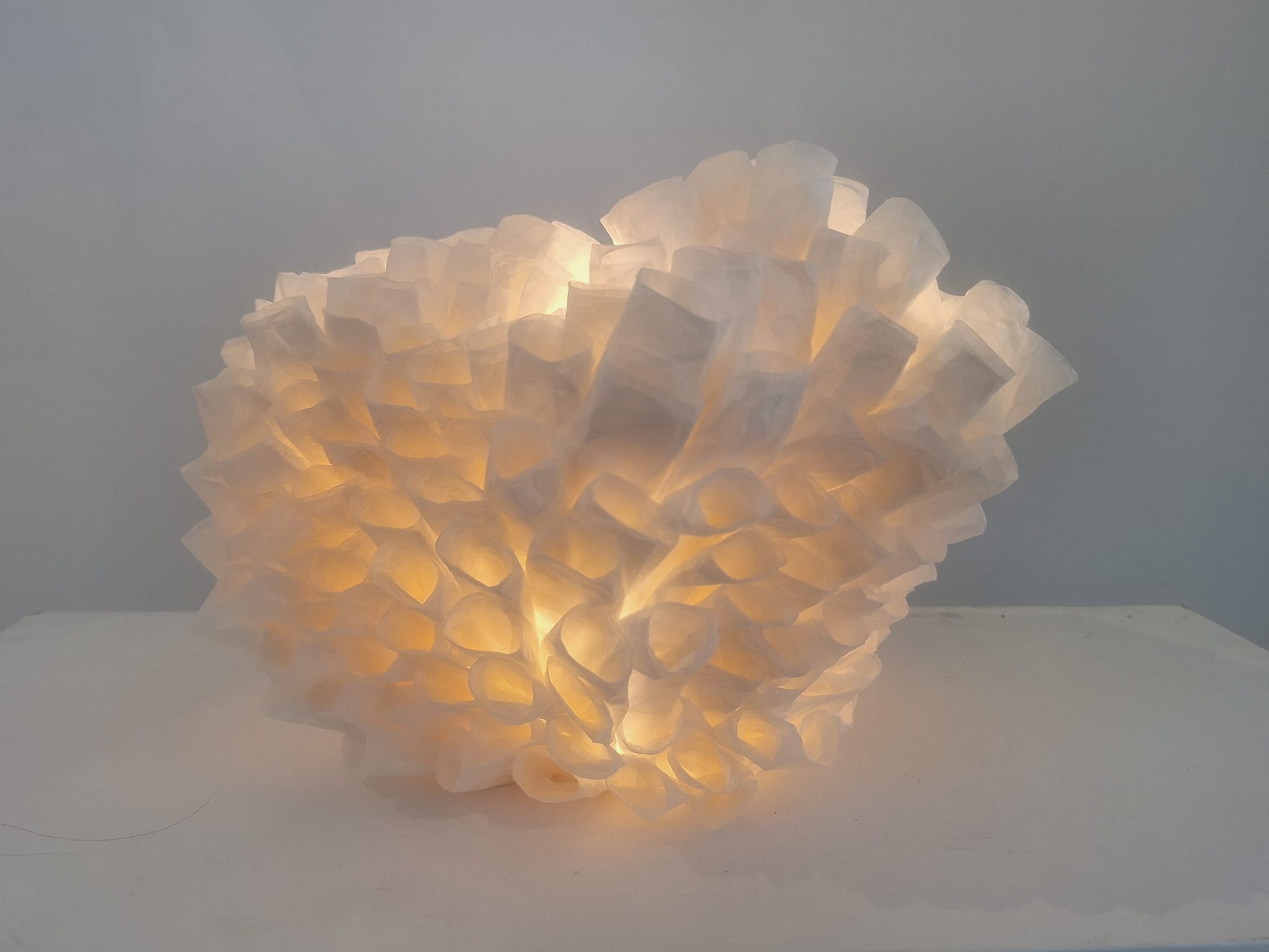 5cf7eea3-e865-480f-8ee7-4cad96f2d30b