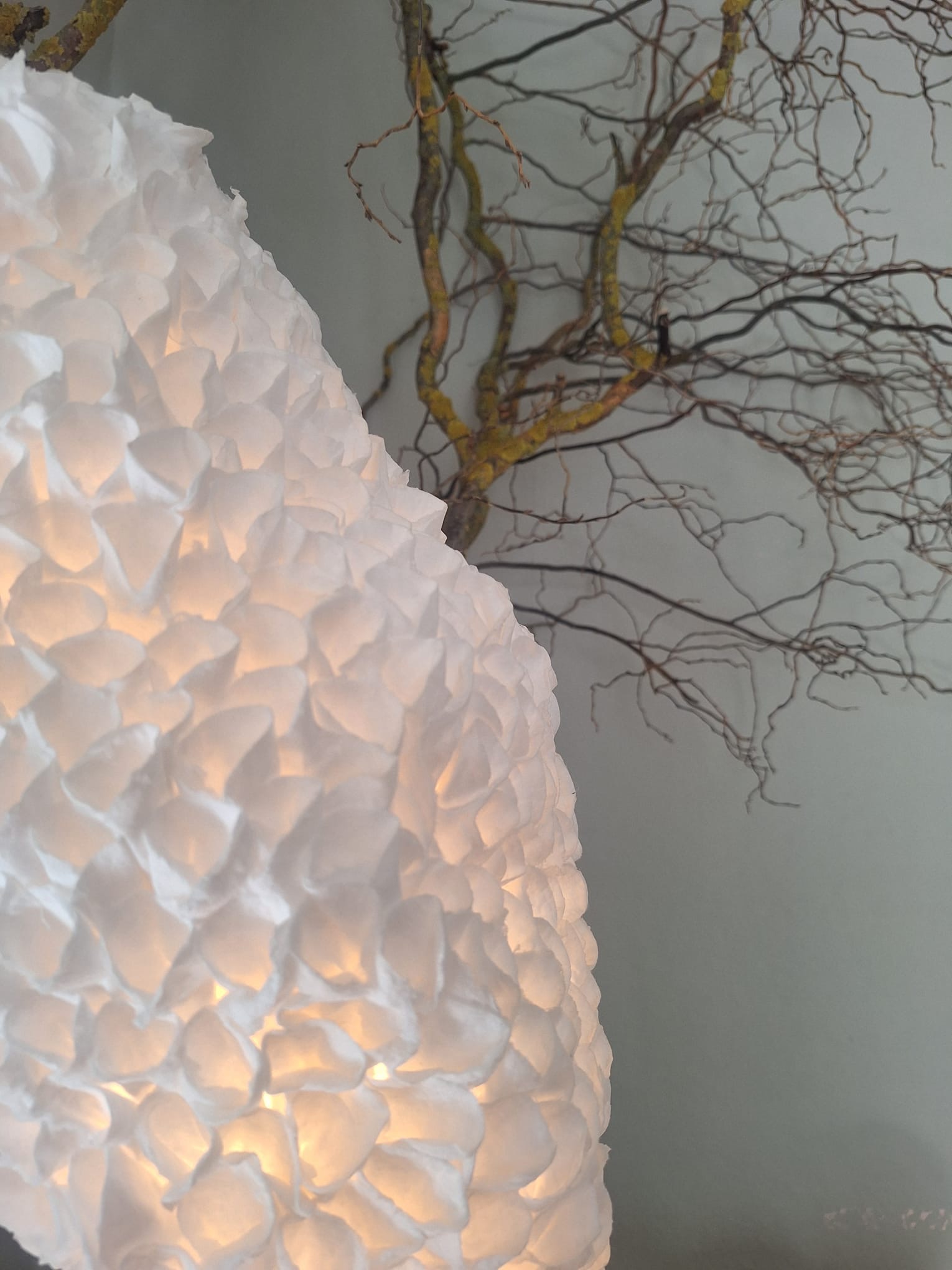 b47e5274-061b-4c62-8bbc-e904ee6d7b9b