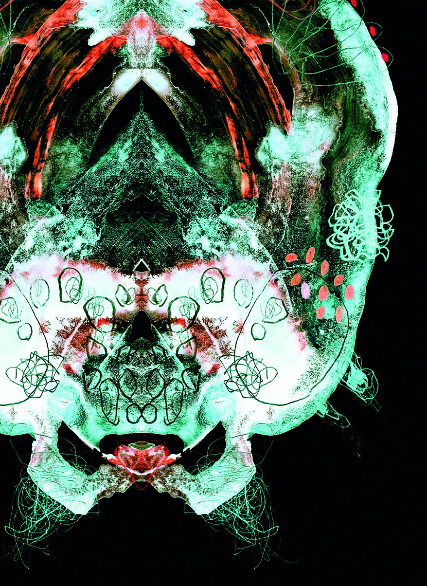 Metamorphotica_04